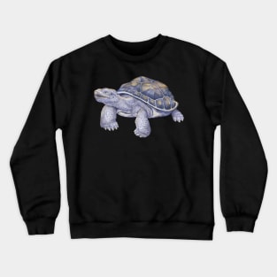 Tortoise Crewneck Sweatshirt